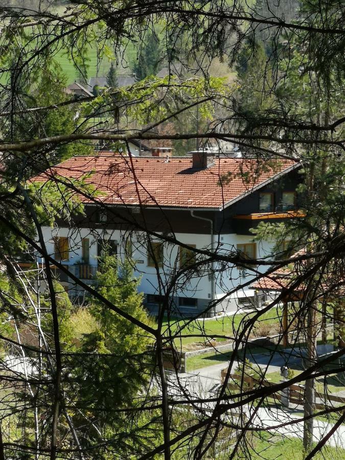 Apartament Haus Edlinger Hinterstoder Zewnętrze zdjęcie